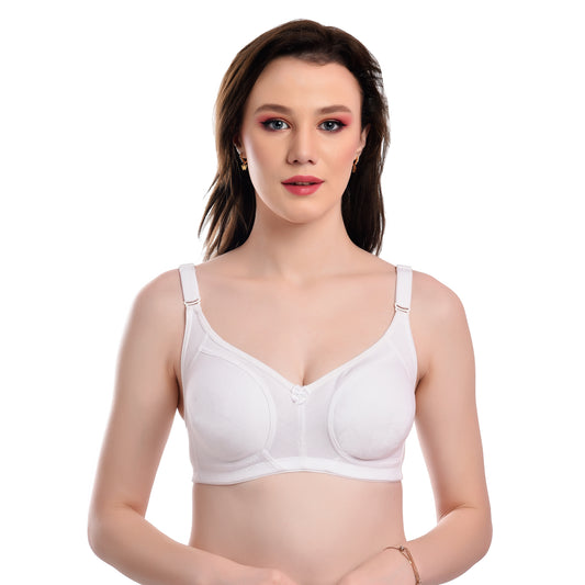 BLISS CURVES Minimizer Bra